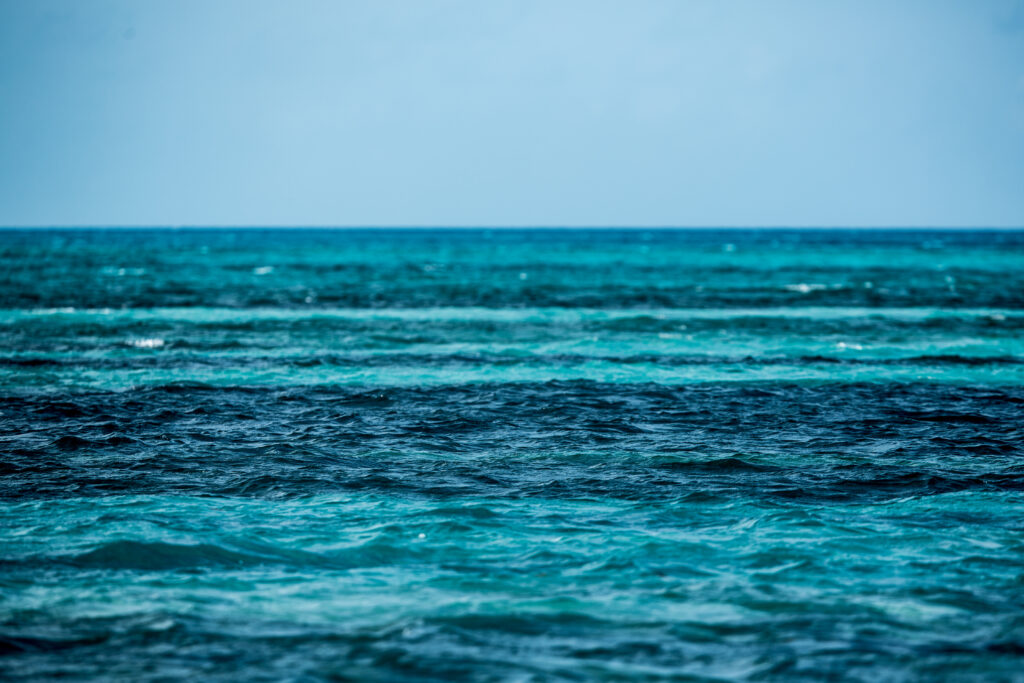 2025 Caribbean Study Cruise Ligonier Tours