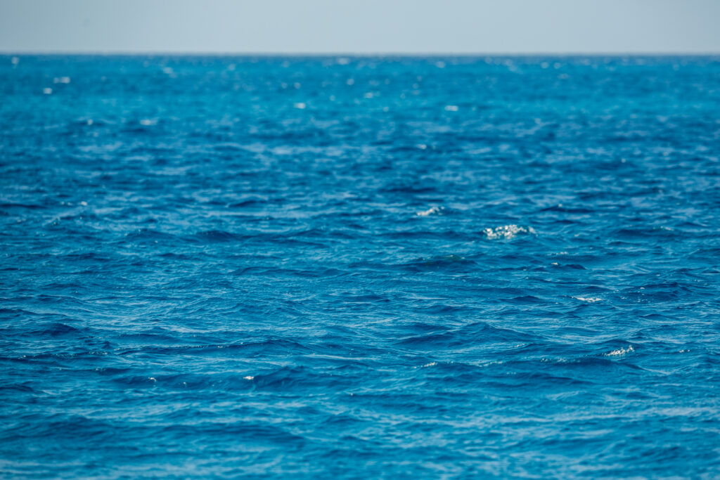 2025 Caribbean Study Cruise | Ligonier Tours